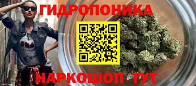 гидра Комсомольск-на-Амуре