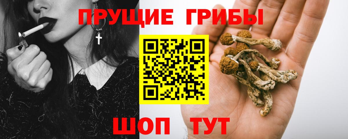 Галлюциногенные грибы Psilocybe  Вход с VPN  Псилоцибиновые грибы Psilocybe  Долгопрудный 